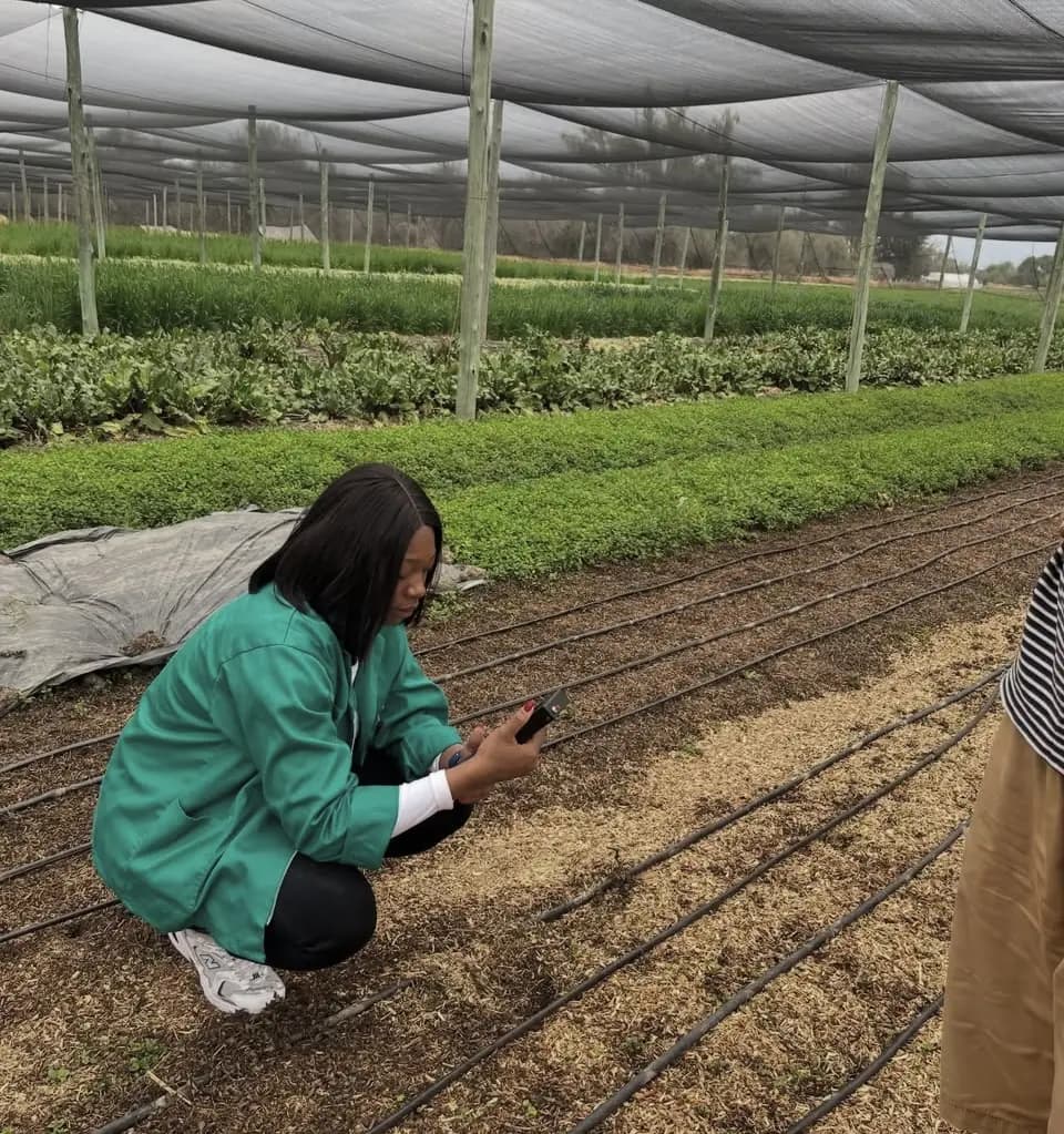 Soilo Carbon Project Feasibility agricultural context